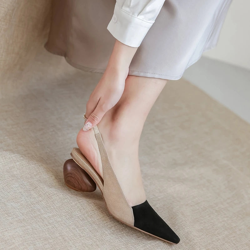 Pointed-Toe Heel (Cleo)