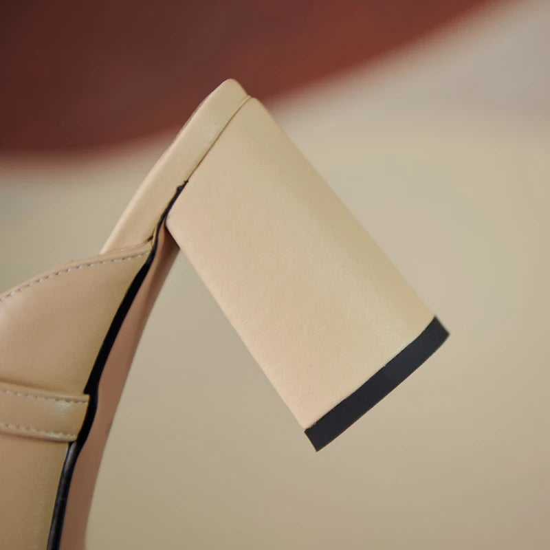 Pointed-Toe Heel (Geneva)