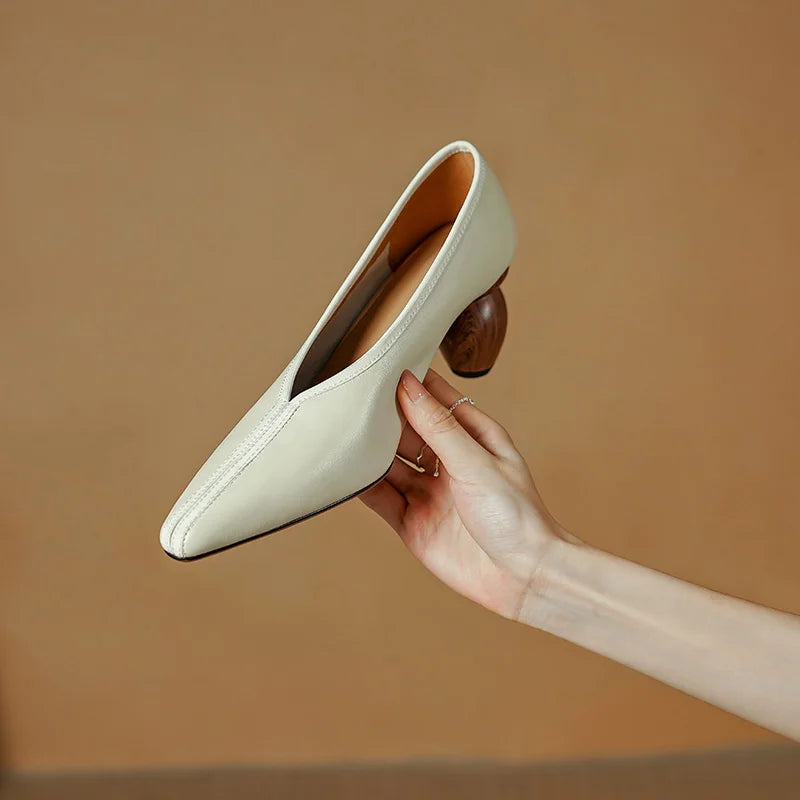 Pointed-Toe Heel (Quyn)